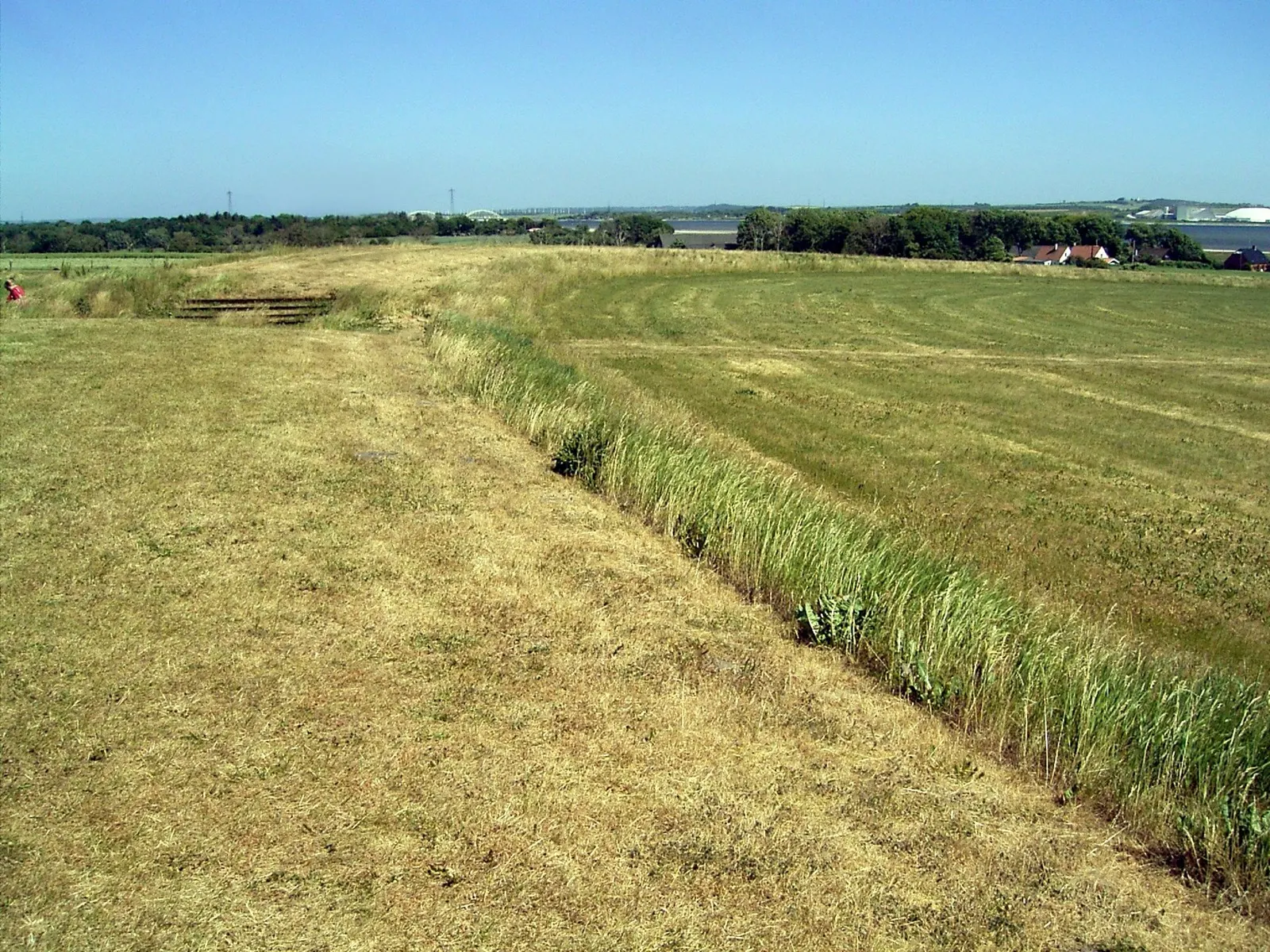 The grass rampart of the Aggersborg ring fortress curving across a dry summer field toward the Limfjord