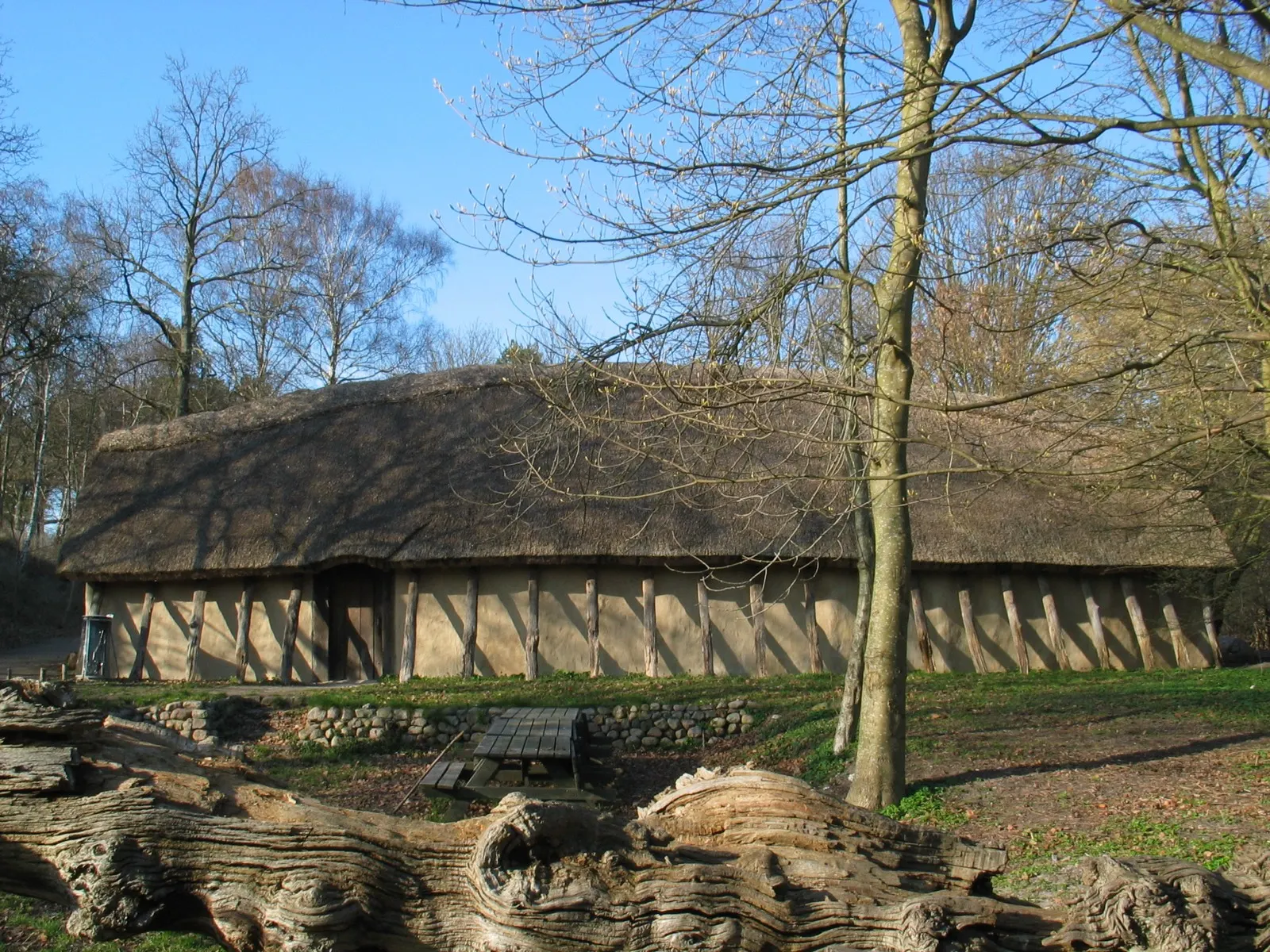 A reconstructed Viking longhouse with a thatched roof and wattle-and-daub walls between timber posts, bare trees behind it