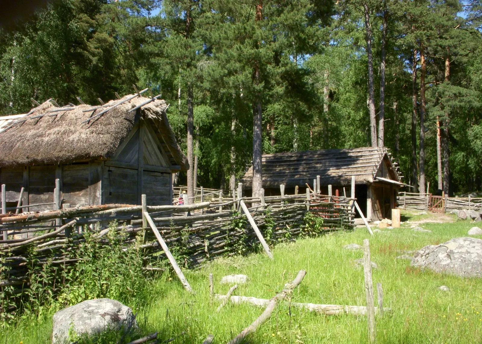 A thatched timber longhouse and a smaller outbuilding behind a woven wattle fence at Gunnes gård, pine forest behind