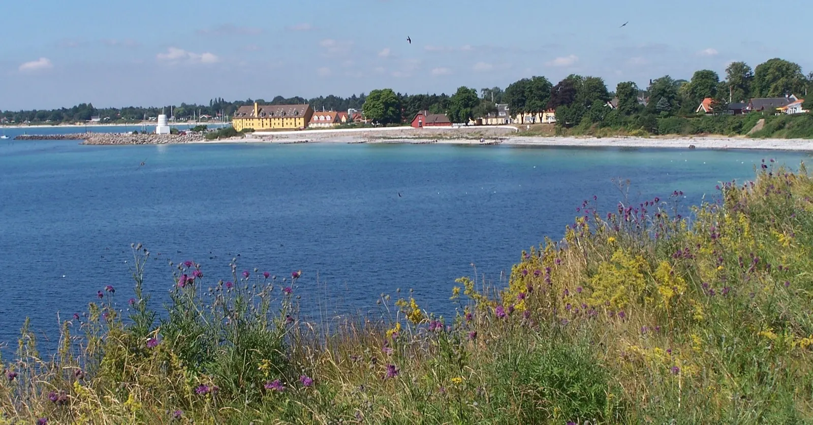 The village of Rødvig seen across the bay, with yellow and red houses along the shore, a small lighthouse and flowering grassland in the foreground
